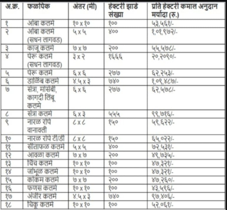 | Bhausaheb Fundkar Falbag Lagvad Scheme 2024 Maharashtra