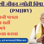प्रधानमंत्री जीवन ज्योती विमा योजना (PMJJBY)